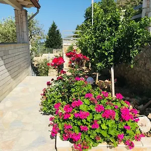Vila Milo Appartamento Vuno